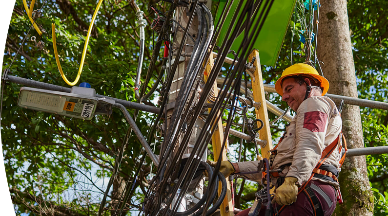 Trabajador de servicios públicos con casco y guantes realizando mantenimiento en un poste eléctrico rodeado de árboles