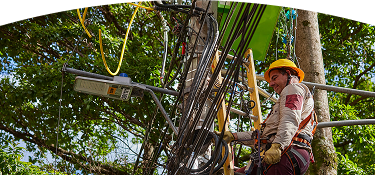 Trabajador de servicios públicos con casco y guantes realizando mantenimiento en un poste eléctrico rodeado de árboles