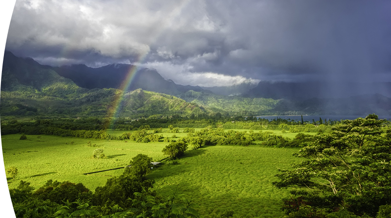Fotografía de paisaje boscoso con cambios climáticos en el cielo