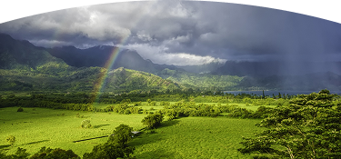 Fotografía de paisaje boscoso con cambios climáticos en el cielo