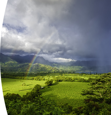 Fotografía de paisaje boscoso con cambios climáticos en el cielo