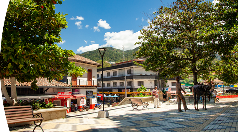 Fotografía del municipio de Cisneros