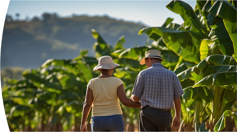 Banner ''Energía solar rural'' pareja de campesinos caminando entre cultivos de plátano en zona rural con montañas al fondo