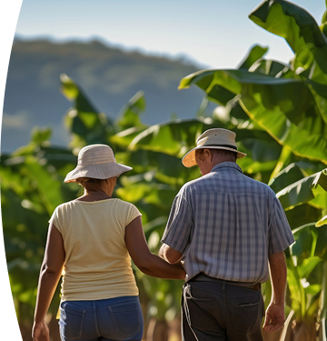 Banner ''Energía solar rural'' pareja de campesinos caminando entre cultivos de plátano en zona rural con montañas al fondo
