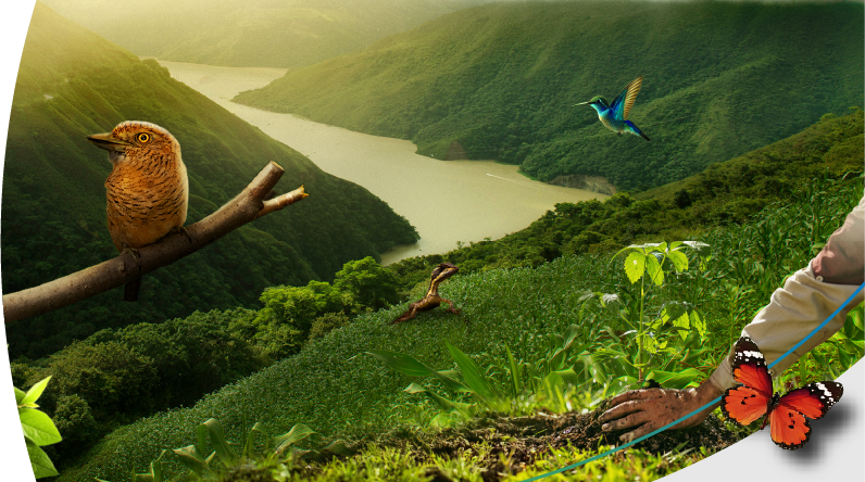 Paisaje natural montañoso con un río, aves, una mariposa y un pequeño reptil