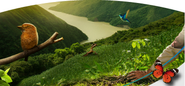 Paisaje natural montañoso con un río, aves, una mariposa y un pequeño reptil