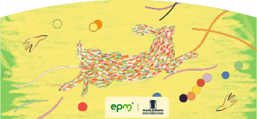 Ilustración colorida de un conejo en movimiento sobre fondo amarillo y elementos artísticos. Incluye los logos de EPM y la Alcaldía de Medellín.