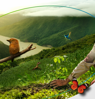 Paisaje natural montañoso con un río, aves, una mariposa y un pequeño reptil