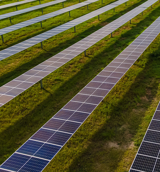 Paneles solares de EPM instalados en un campo verde, captando energía solar para generar electricidad limpia y sostenible