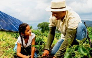 Hombre y niña siembran una planta en el campo junto a paneles solares