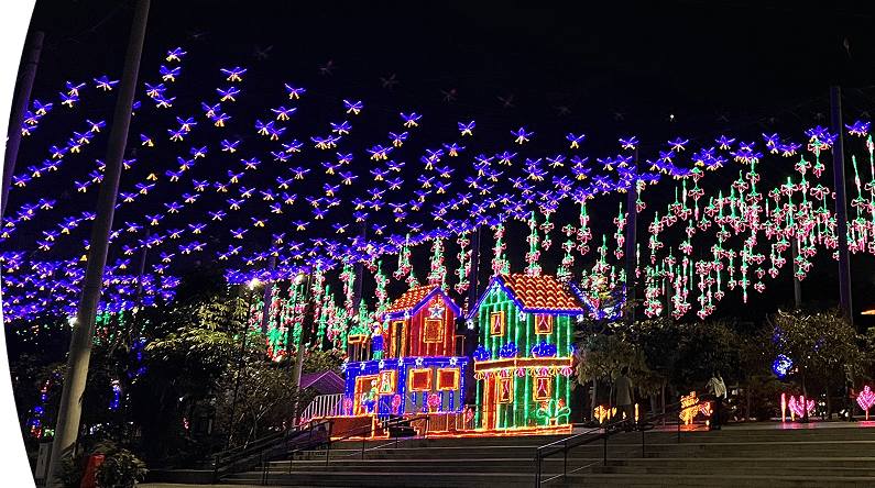 Fotografía del alumbrado navideño EPM 2025