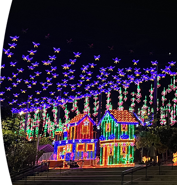 Fotografía del alumbrado navideño EPM 2025
