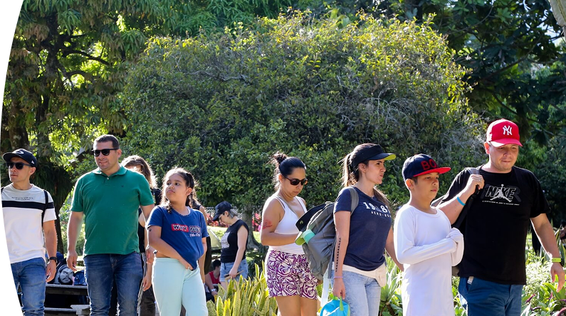 Grupo de personas caminando juntas en un parque rodeado de árboles y vegetación, disfrutando de un día al aire libre en familia y con amigos