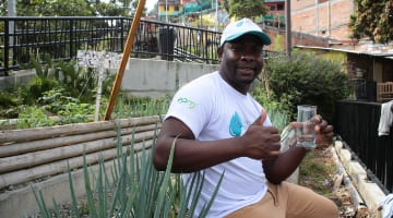 Avances del programa