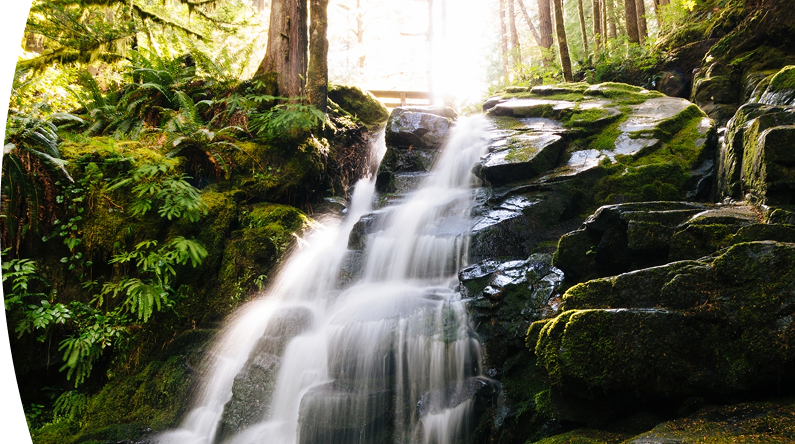 Cascada de agua sobre rocas negras en un bosque exuberante, iluminada por una luz solar intensa al fondo.