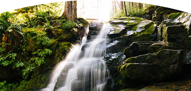 Cascada de agua sobre rocas negras en un bosque exuberante, iluminada por una luz solar intensa al fondo.