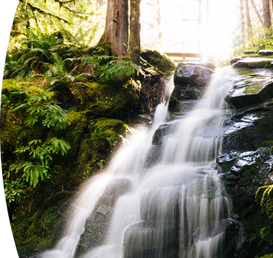 Cascada de agua sobre rocas negras en un bosque exuberante, iluminada por una luz solar intensa al fondo.