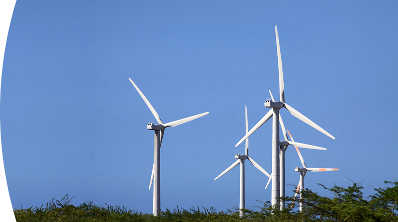 Banner ''Proyecto de desmontaje'' aerogeneradores blancos en funcionamiento sobre un campo verde, generando energía eólica bajo un cielo azul despejado