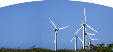 Banner ''Proyecto de desmontaje'' aerogeneradores blancos en funcionamiento sobre un campo verde, generando energía eólica bajo un cielo azul despejado