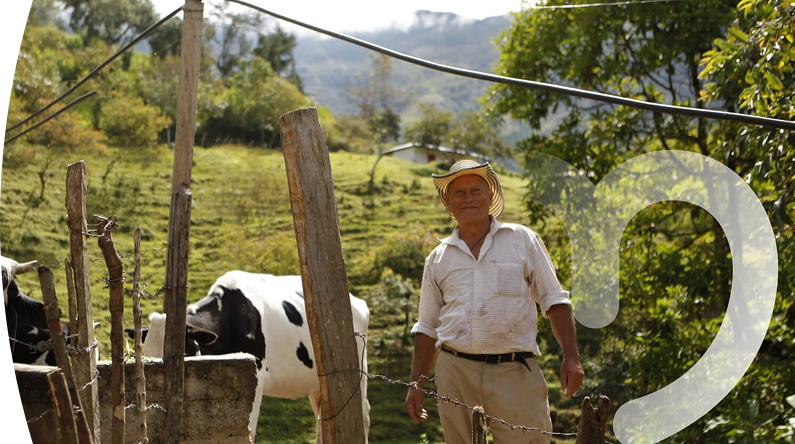 Campesino sonriente junto a su ganado en un potrero verde en zona rural