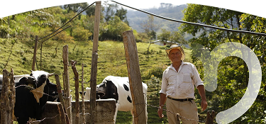Campesino sonriente junto a su ganado en un potrero verde en zona rural