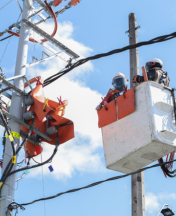 Personal de EPM ejecuta trabajos de mantenimiento en redes eléctricas para asegurar el servicio