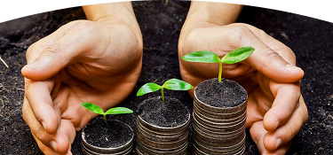 Persona sembrando unas plantas en 3 materas