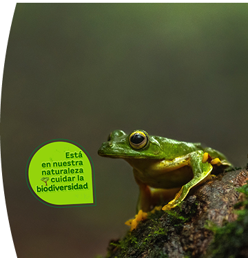 Rana con un globo de texto que dice "Está en nuestra naturaleza cuidar la biodiversidad"