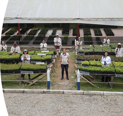 Empleados EPM sonriendo en un invernadero