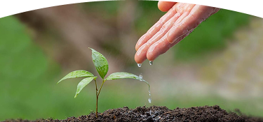 Empleados EPM sonriendo en un invernadero