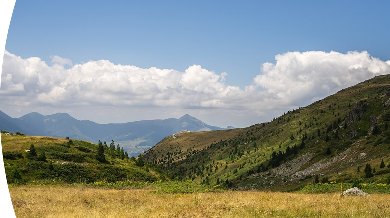 Montañas vedes y un campo en un día soleado