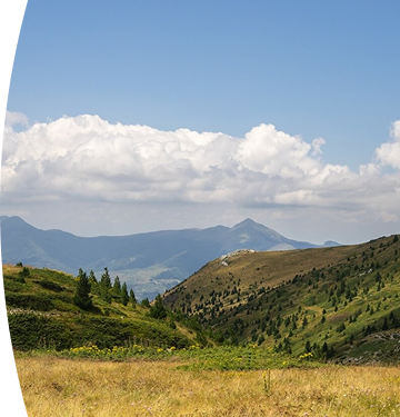 Montañas vedes y un campo en un día soleado