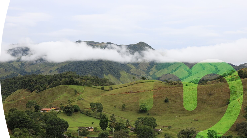 Montañas nubladas y un campo verde