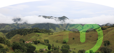 Montañas nubladas y un campo verde