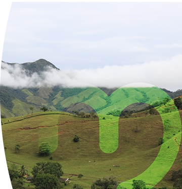 Montañas nubladas y un campo verde