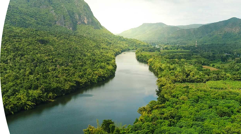 Río cristalino pasando a través de un bosque