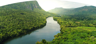 Río cristalino pasando a través de un bosque