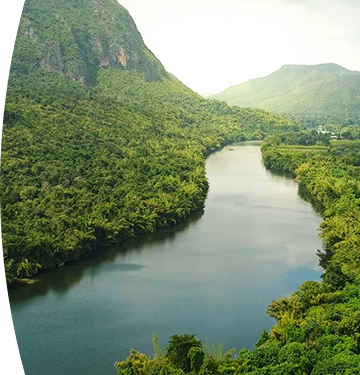 Río cristalino pasando a través de un bosque