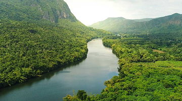 Río cristalino pasando a través de un bosque
