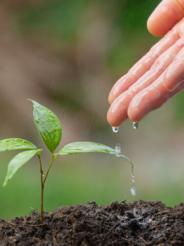 EPM Group Environmental Policy