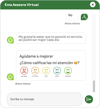 Visualización paso 5, califica la atención de ema