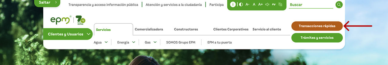 Visualización paso 1, abrir página de transacciones rápidas