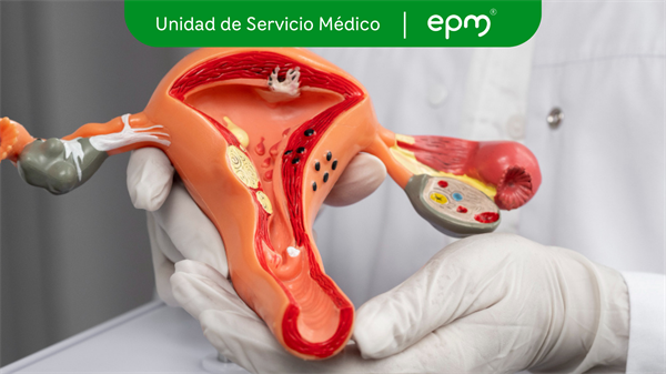 Cáncer de cuello uterino: detéctalo a tiempo