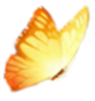 Imagen de mariposa