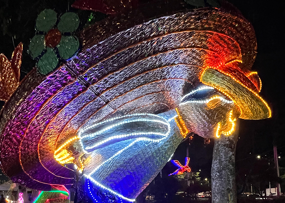 Fotografía de los alumbrados conmemorando a los Silleteros