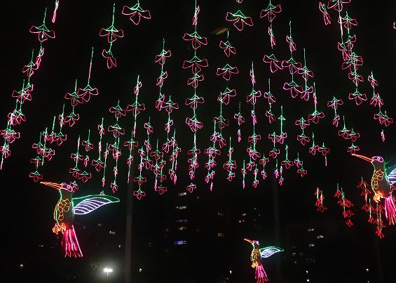 Alumbrado de flora en el parque del río en medellín