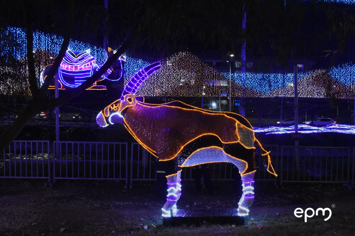 Alumbrados navideños de la estación número dos