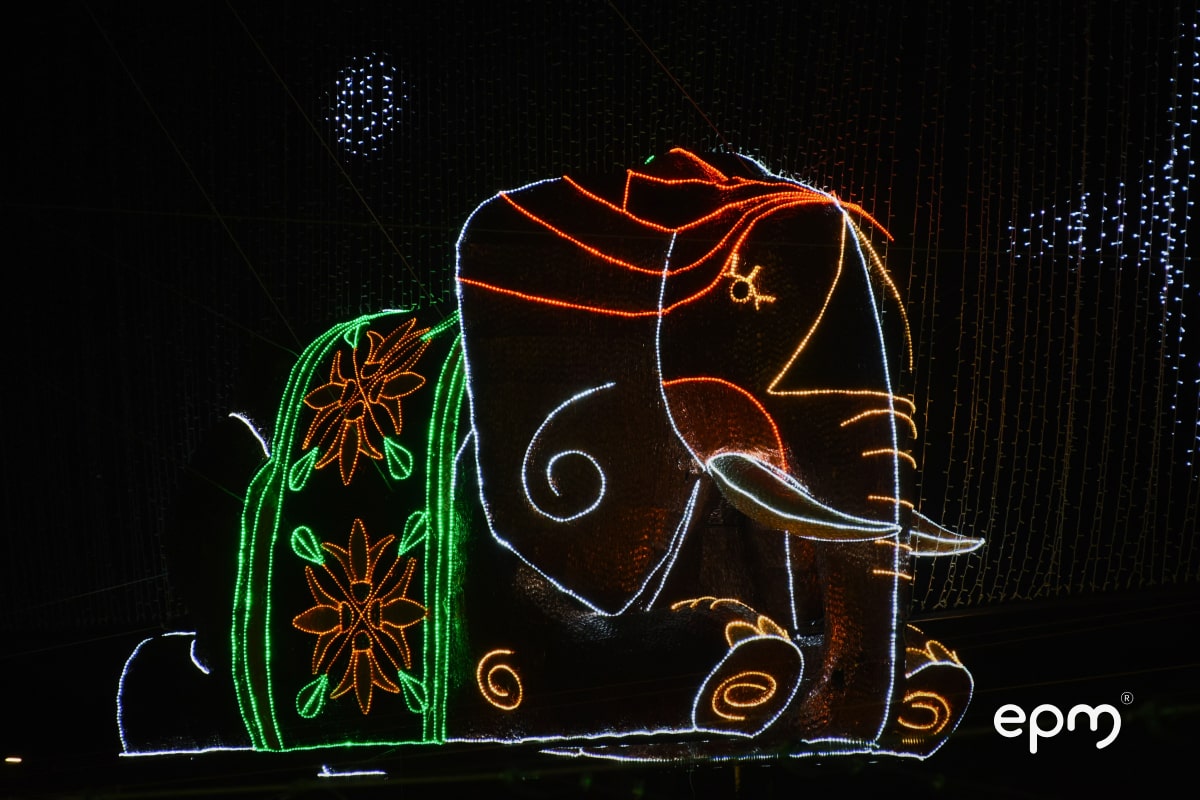 Fotografía Alumbrados navideños de un elefante