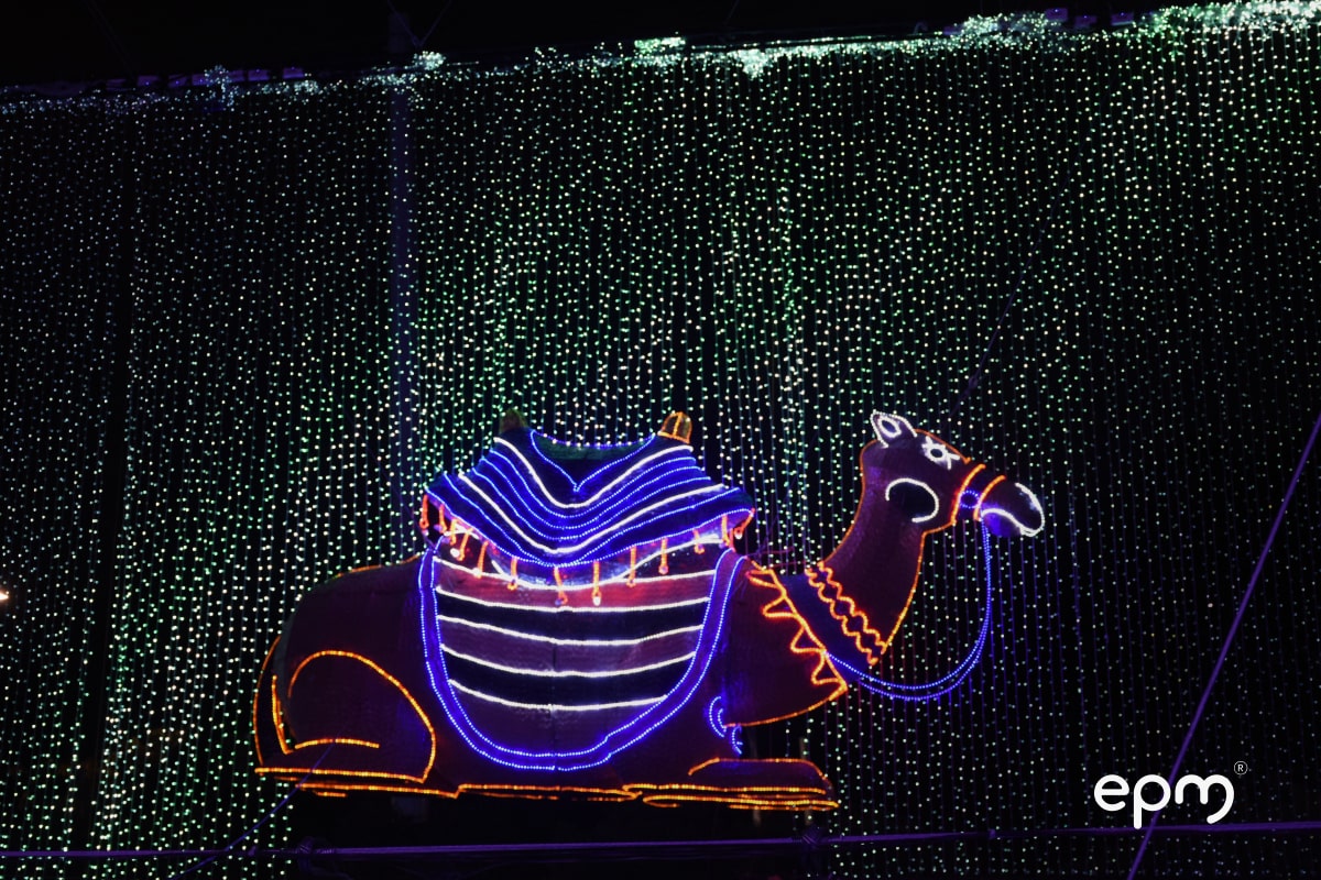 Fotografía alumbrados navideños con forma de camello