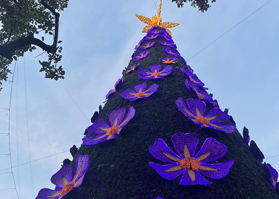 Fotografía del árbol de navidad en los alumbrados epm 2025